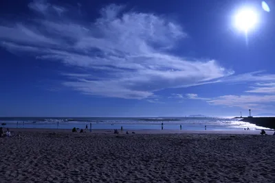 DSC_0848 (Large).JPG